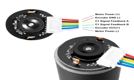 DC Motor + Gear