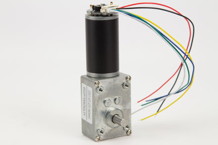 DC Motor + Gear